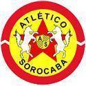 Logo Linense(BRA)