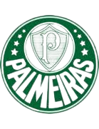 Logo Palmeiras FC U20